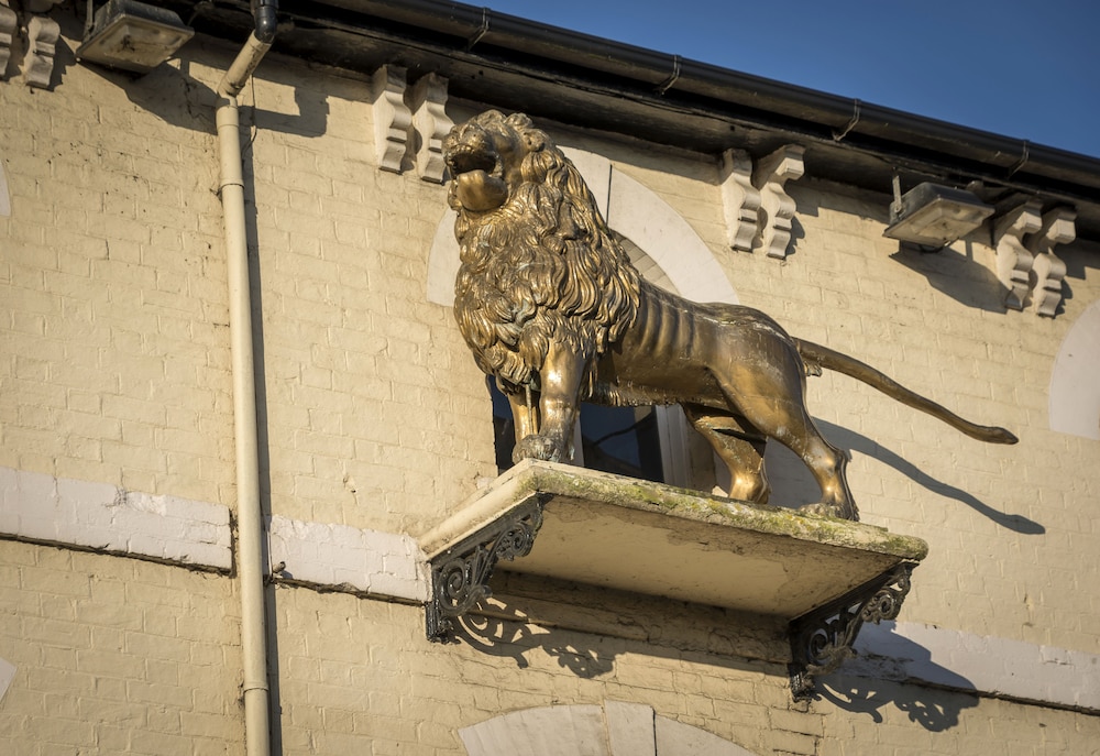 The Golden Lion 65/66