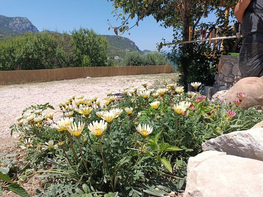 Hayela Bungolow Otel ve Restaurant Karaburun 28/34