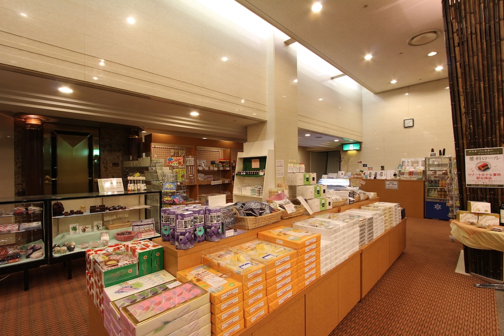 RESORT HOTEL TATESHINA 39/52