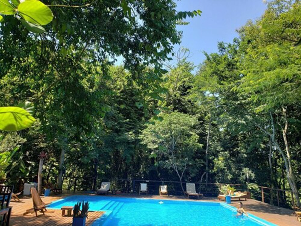 Selva de Laurel 58/71