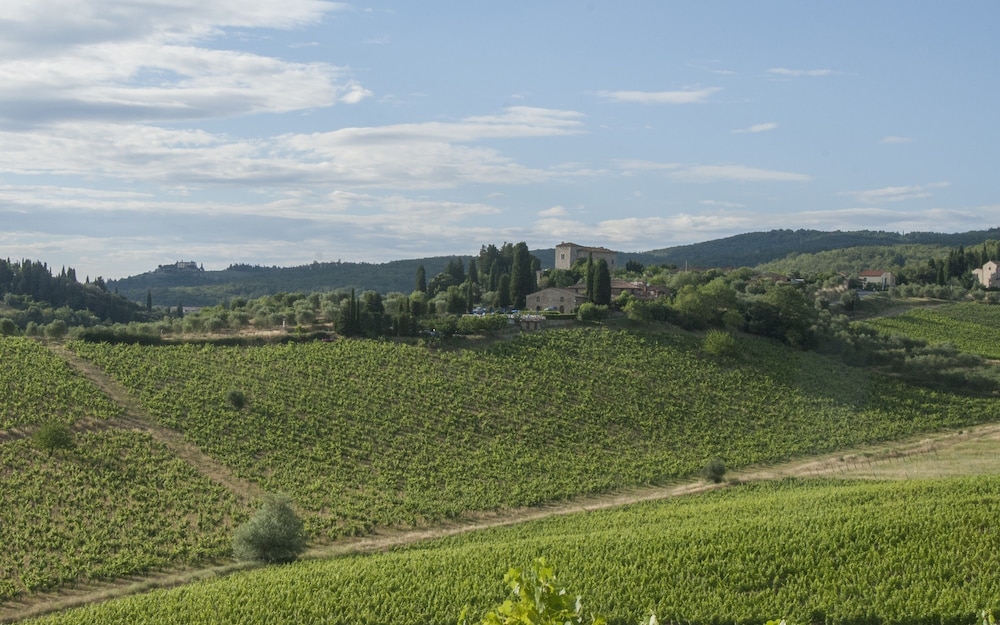 Belvedere Di San Leonino 42/50