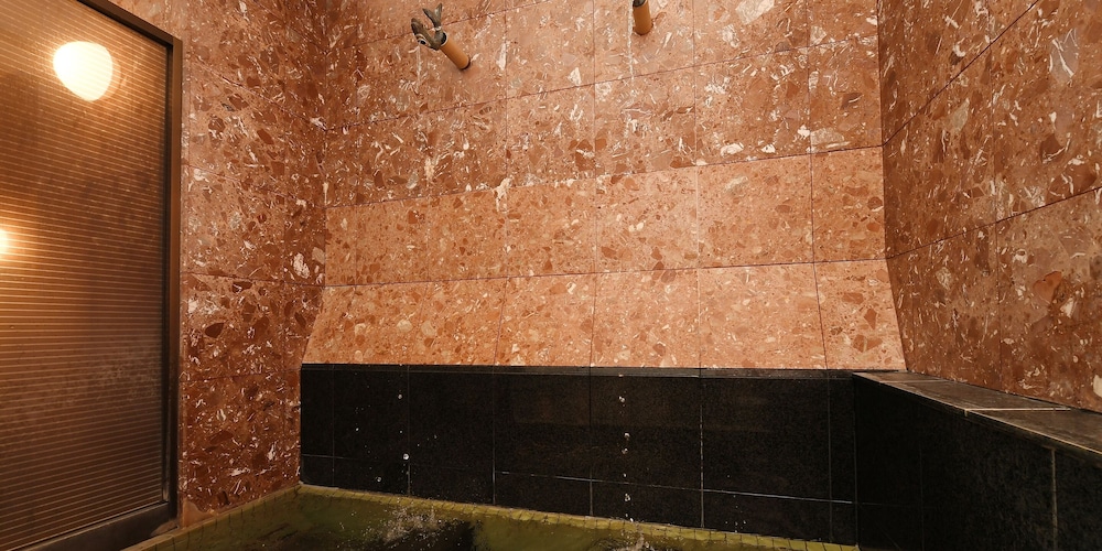 HOTEL KORYU 7/50