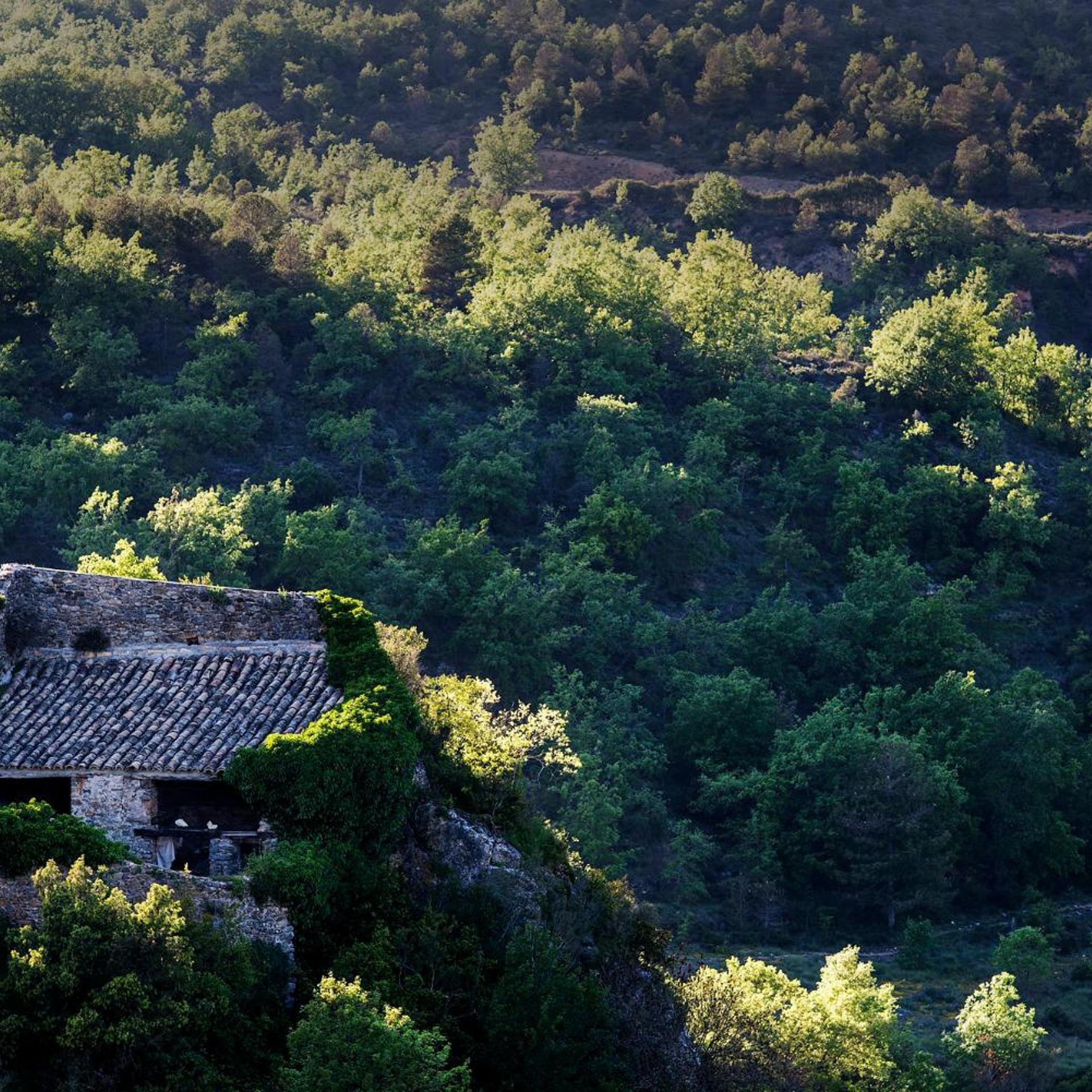 Ligüerre Resort 29/43