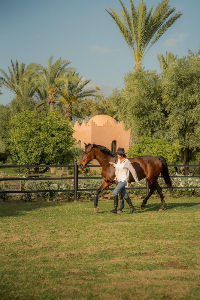 SELMAN MARRAKECH 66/71