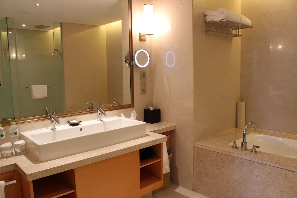 Hilton Nanjing Riverside 9/35