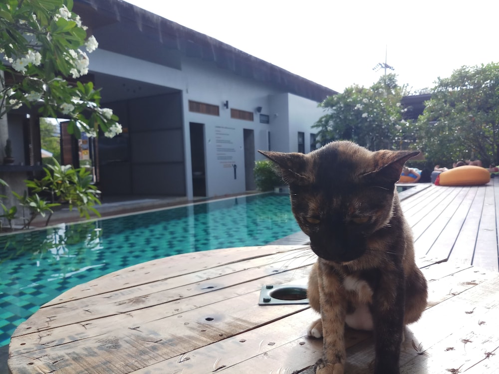 US Hostel Samui 61/67