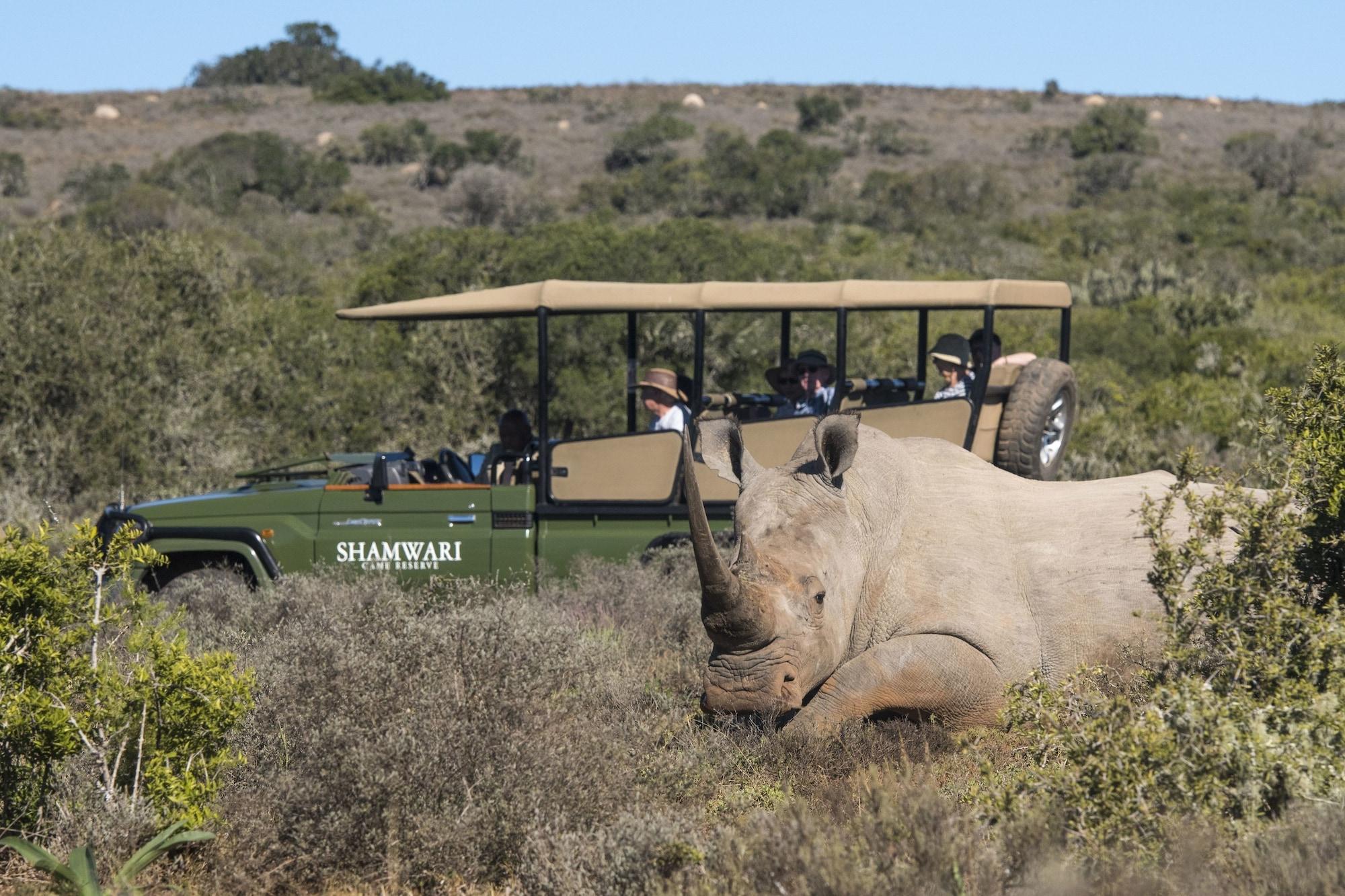 Shamwari Game Reserve - Eagles Crag 19/55