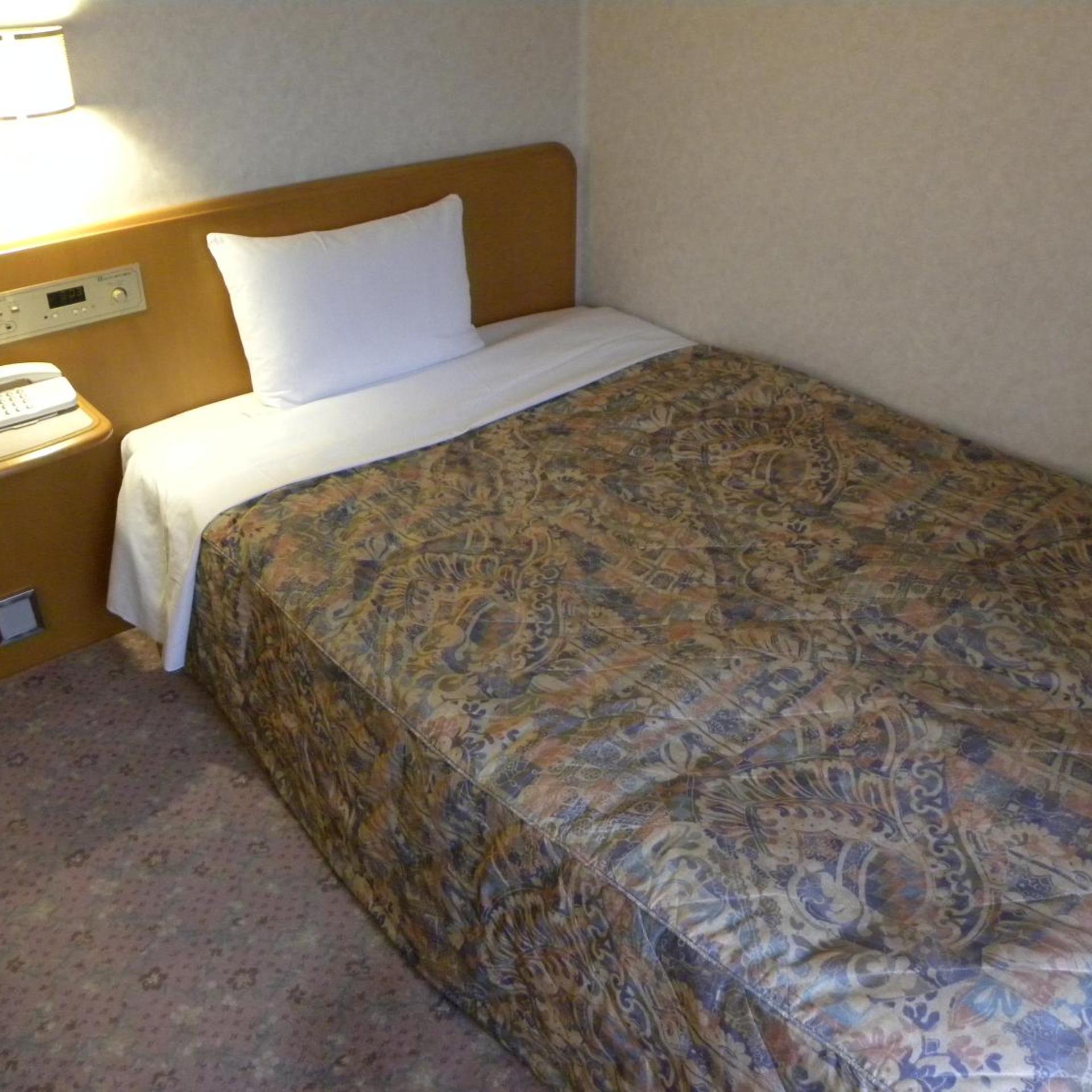 Hotel New Green Okachimachi 12/37
