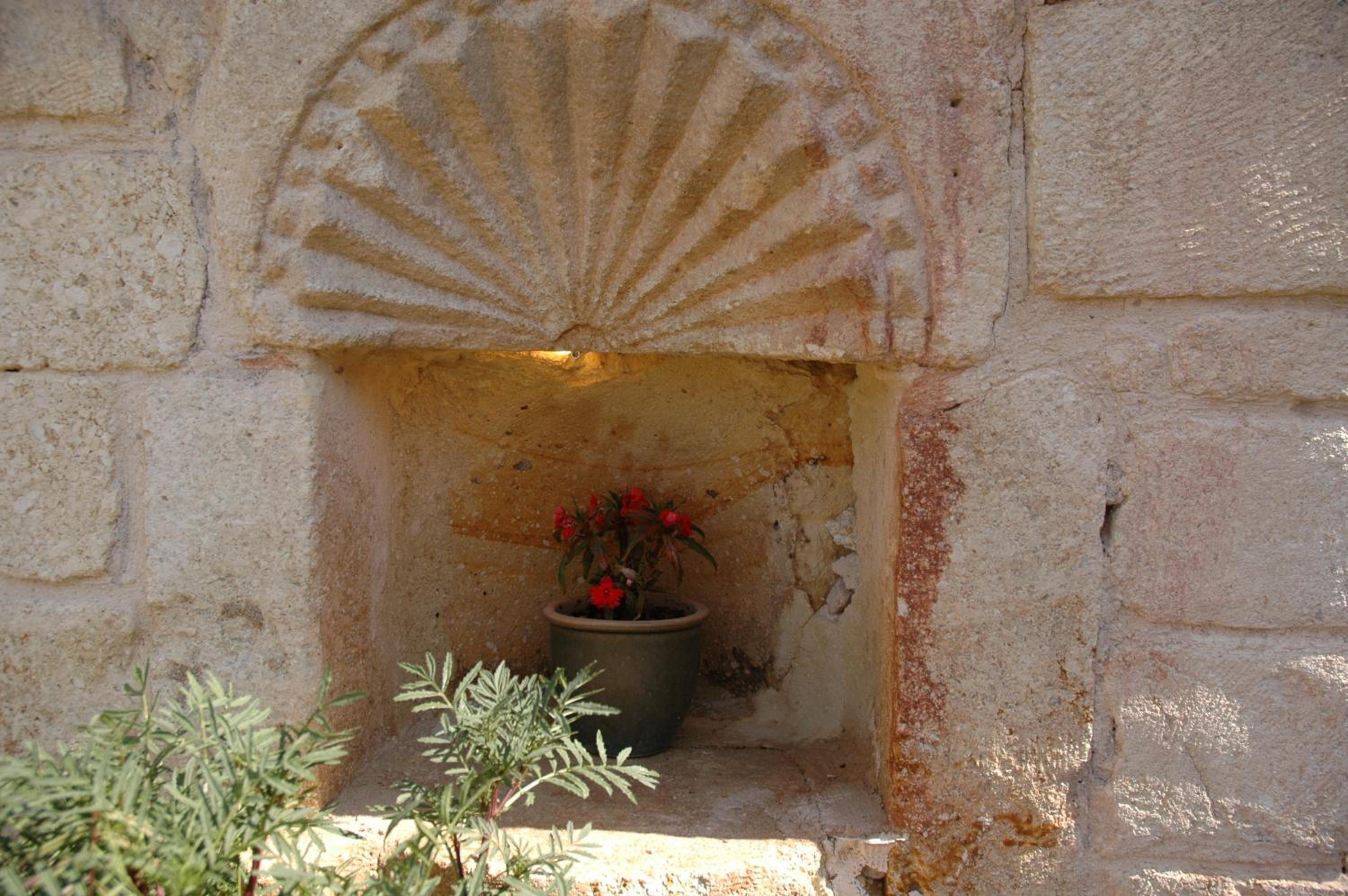 Elkep Evi Cave 8/50