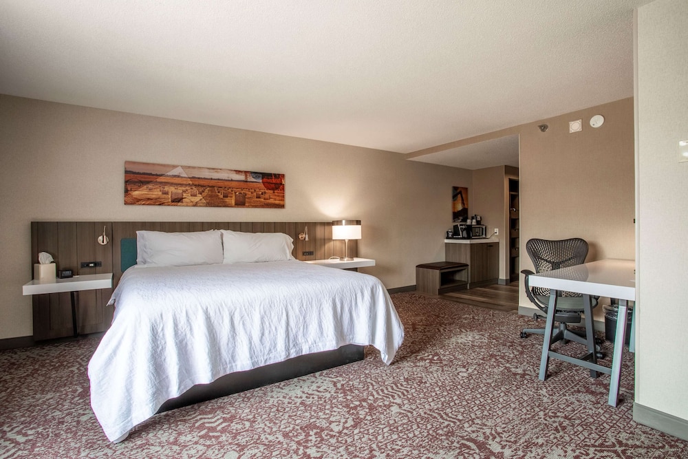 Hilton Garden Inn Mankato Downtown 10/36