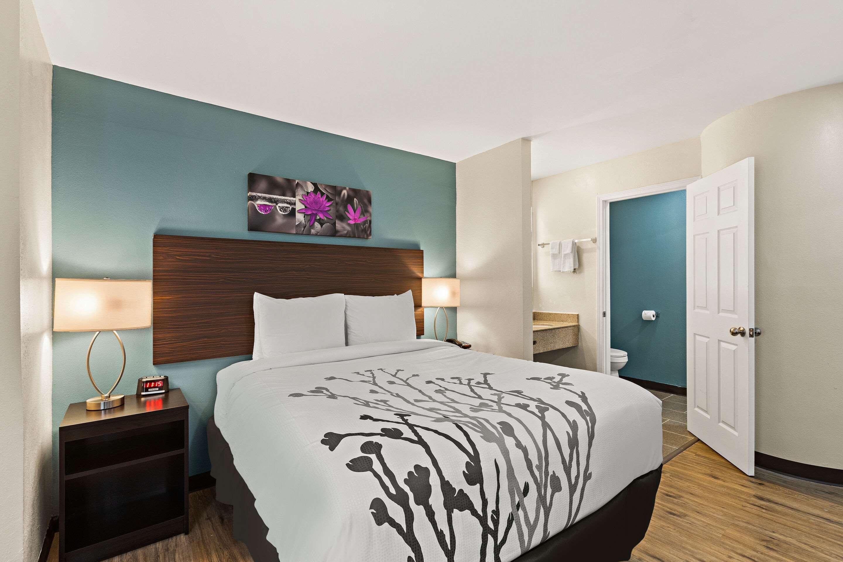 Room, King Bed, Sleep Inn Lithonia Ga 3/3