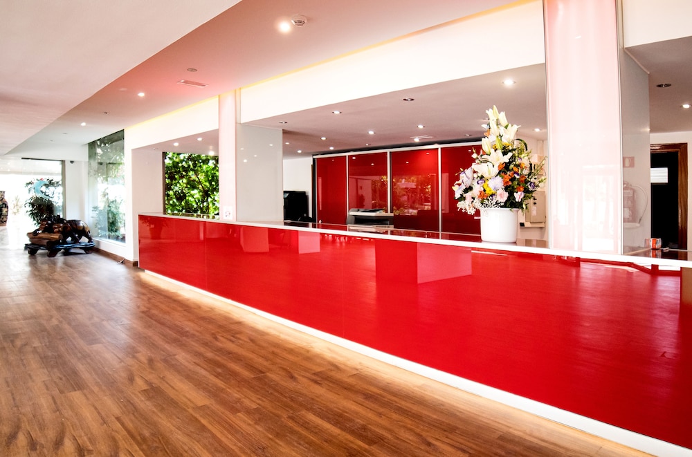 Mar Hotels Paguera and Spa 12/70