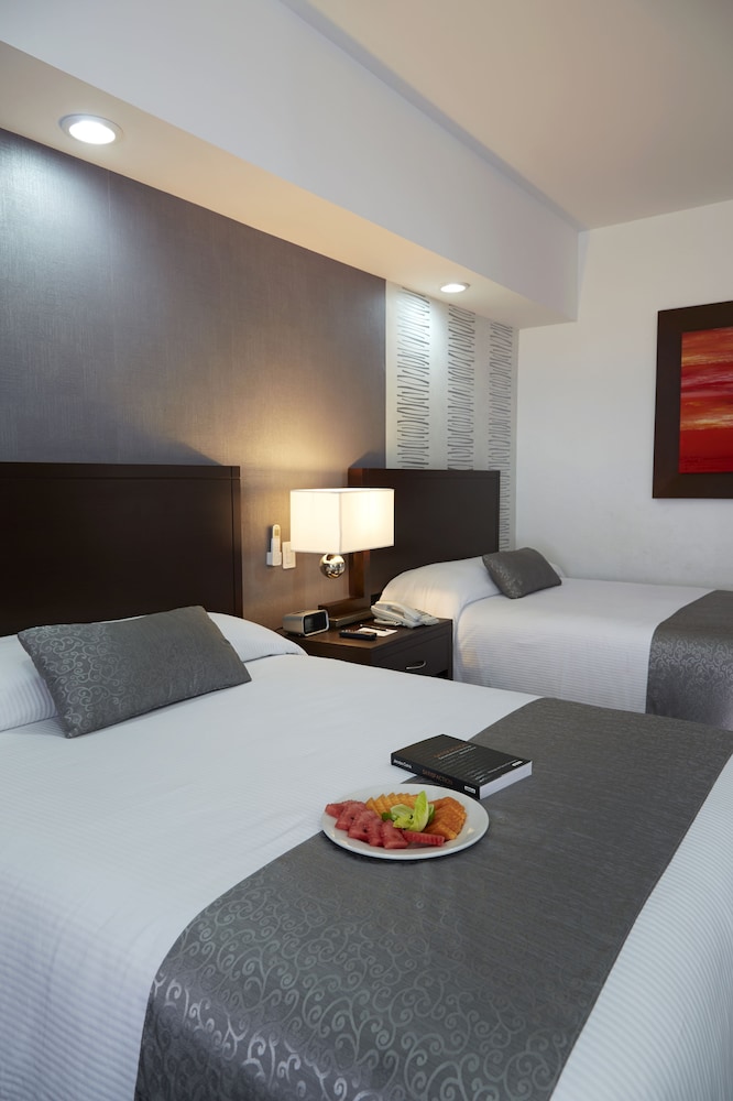 Hotel Ejecutivo Express 19/77