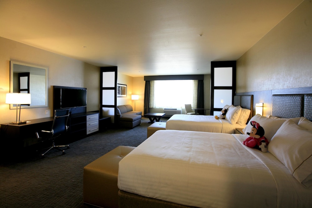 Holiday Inn Express & Suites Anaheim Resort Area 25/58
