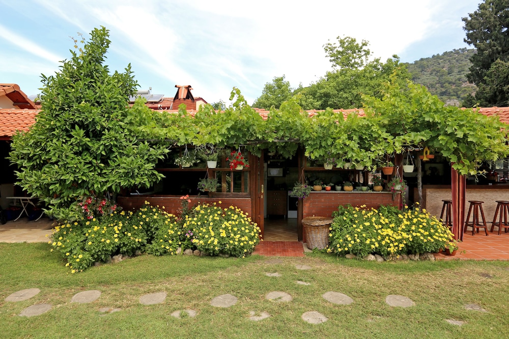 Midas Pension 28/50