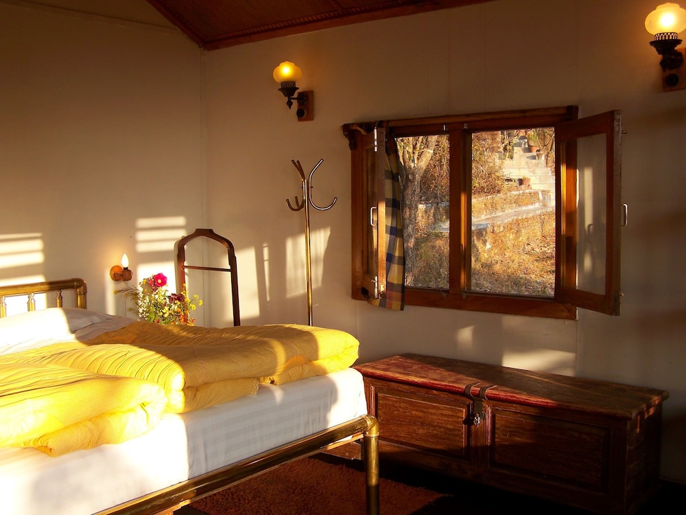 Jungle Lore Birding Lodge 13/29