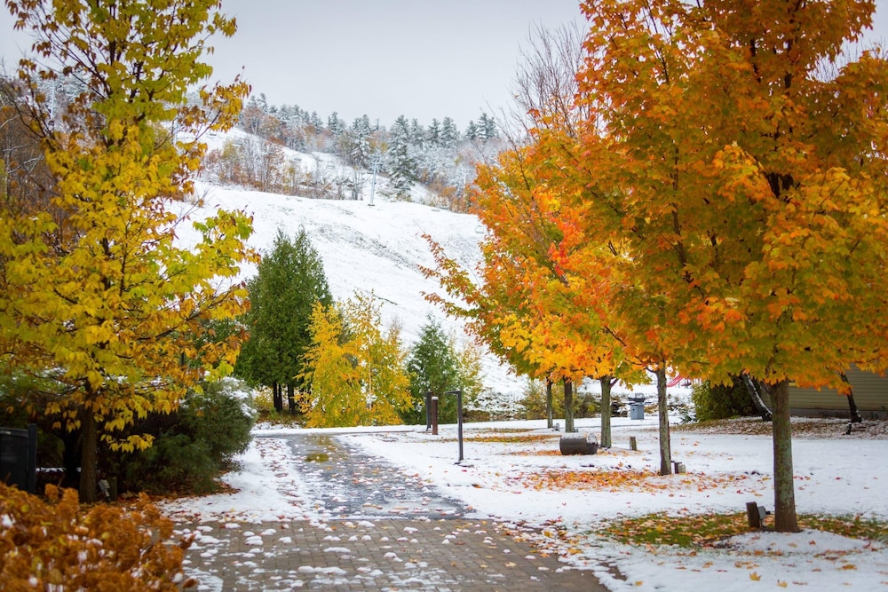 Calabogie Peaks Hotel, Ascend Hotel Member 44/50