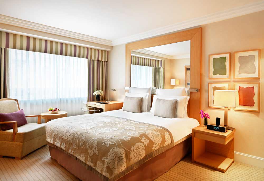 Executive, Suite, Double Bed