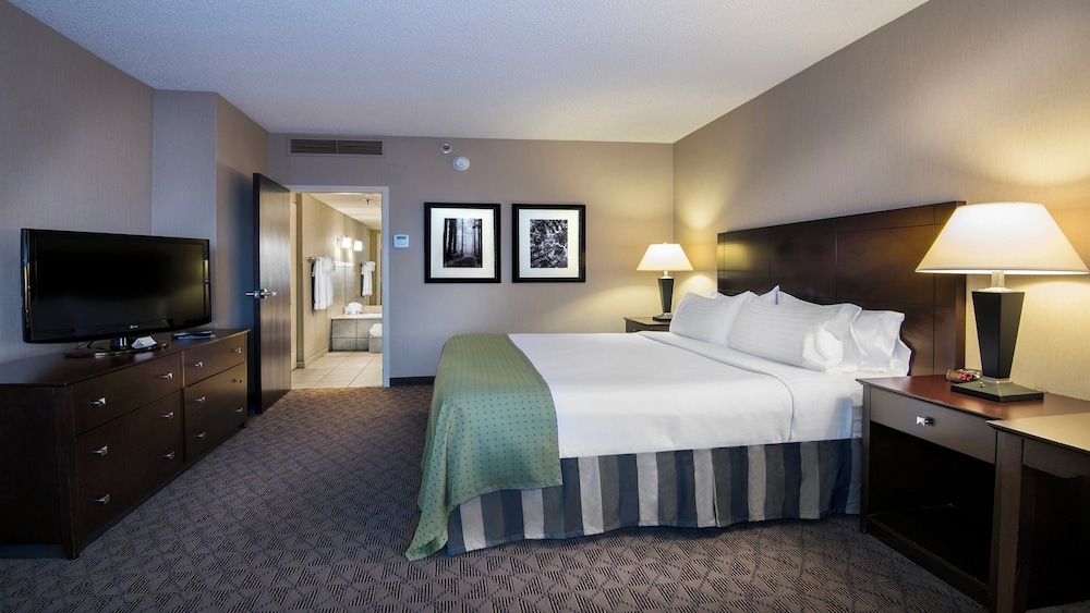 جناح بسرير فردي بغرفة نوم واحدة مع أريكة، Holiday Inn Springdale/Fayetteville Area 4/7