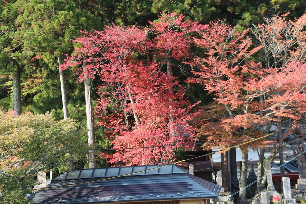 Atarashiya Ryokan - Dorogawa-Onsen Hot Spring 19/24
