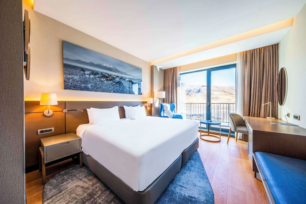 Radisson Blu Hotel, Mount Erciyes 18/31