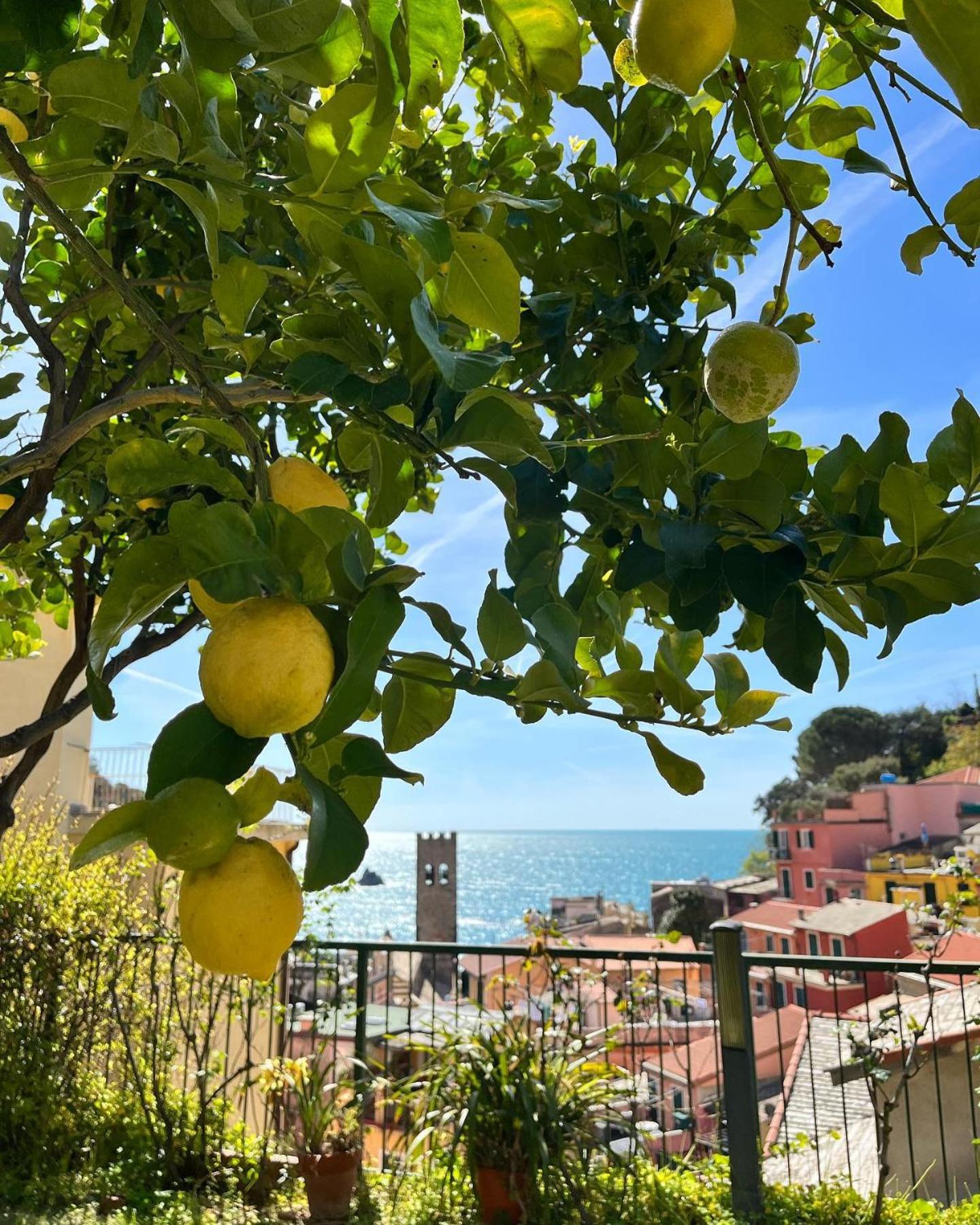 Albergo degli Amici 54/57