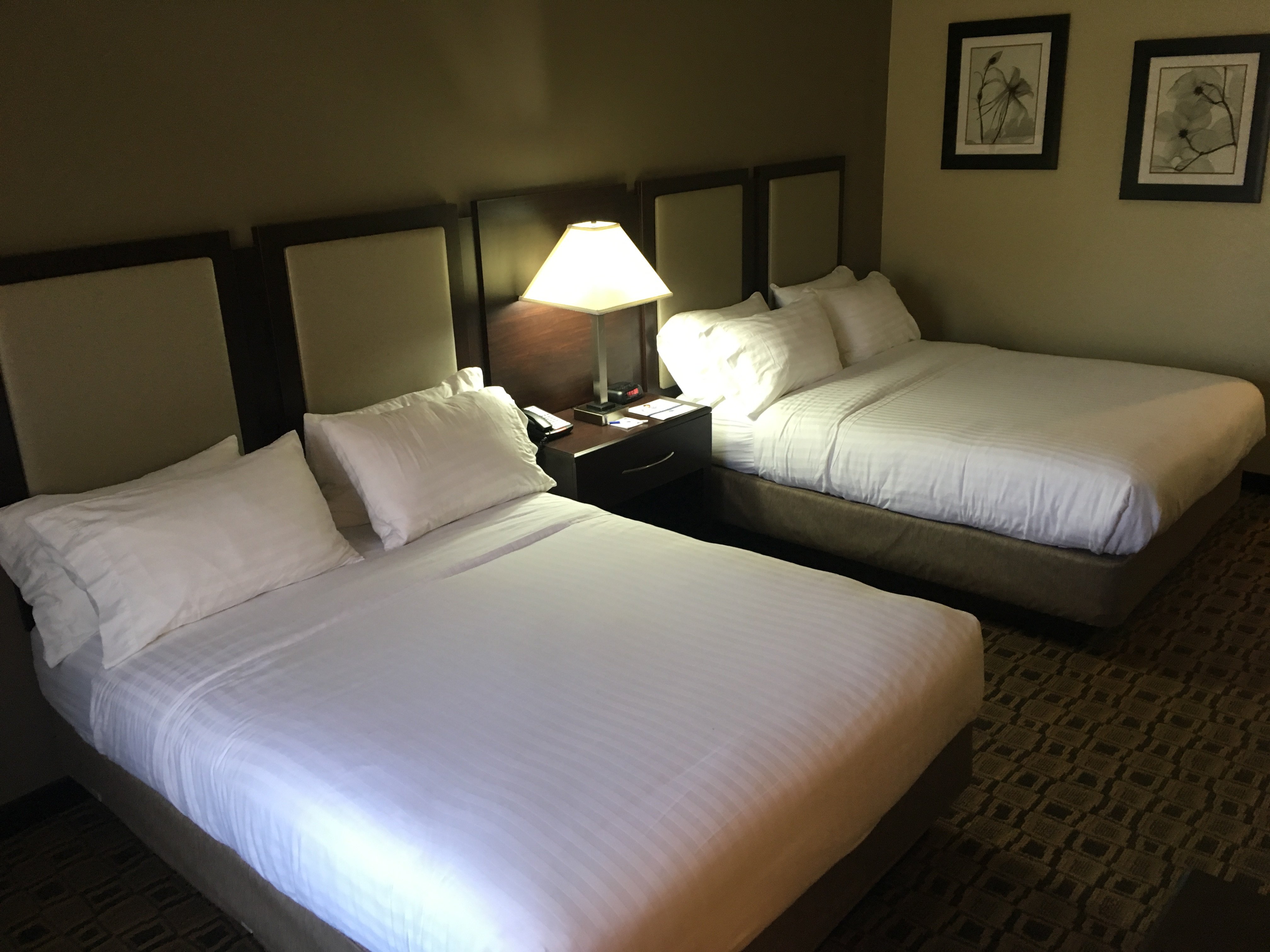 Holiday Inn Express Suites Albemarle 19/51