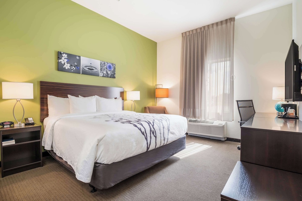 ROOM, KING BED, ACCESSIBLE