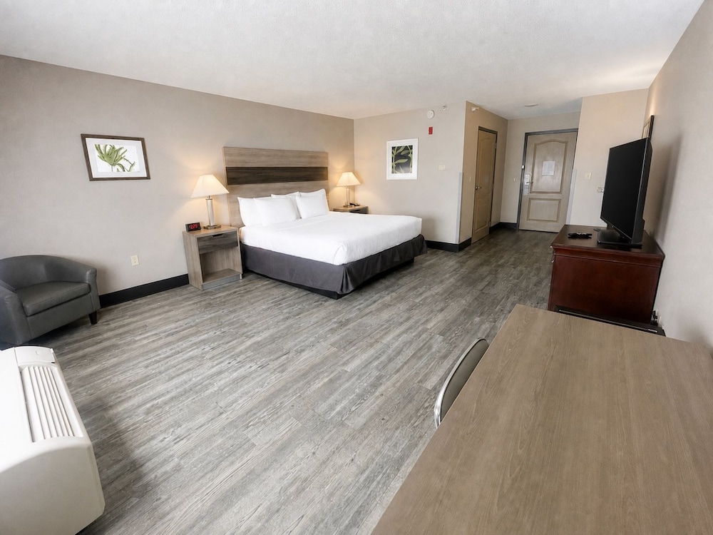 Room, King Bed