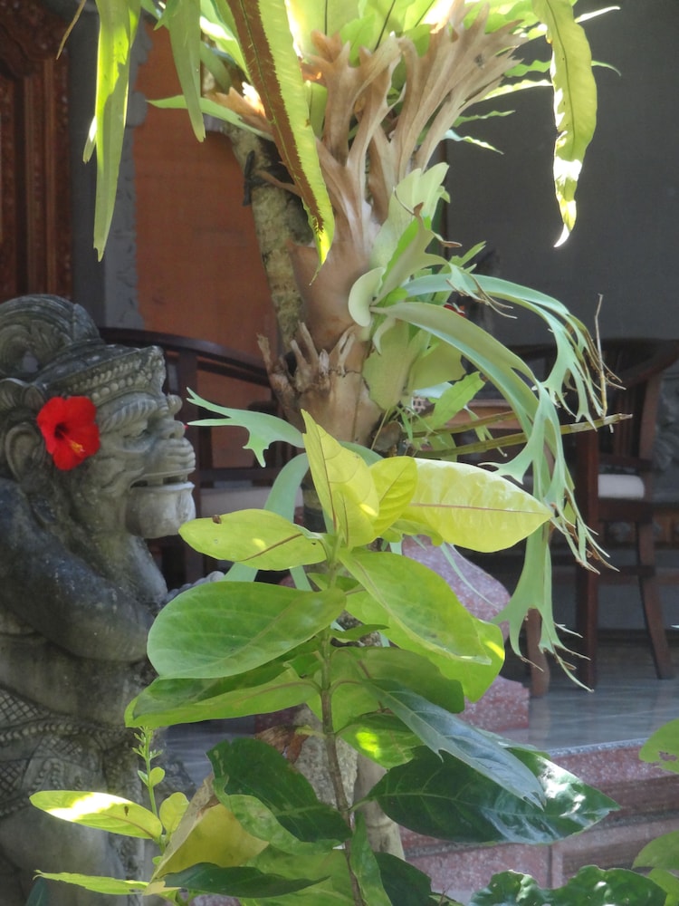 Hibiscus Cottages 55/61