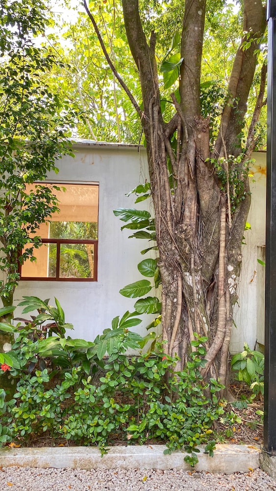 Piedra de Agua Hotel Boutique Palenque 59/66