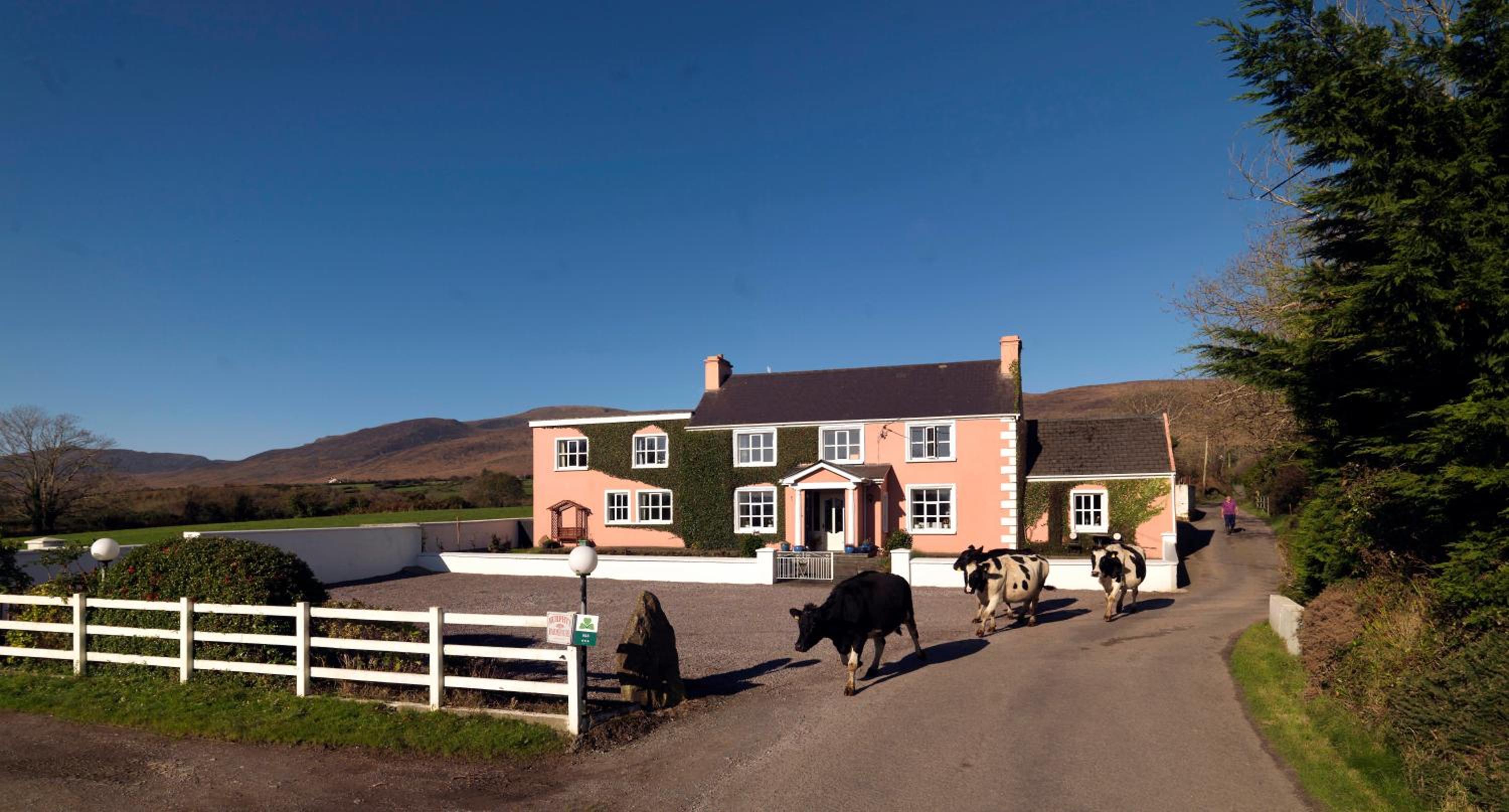 Murphys Farmhouse 22/32