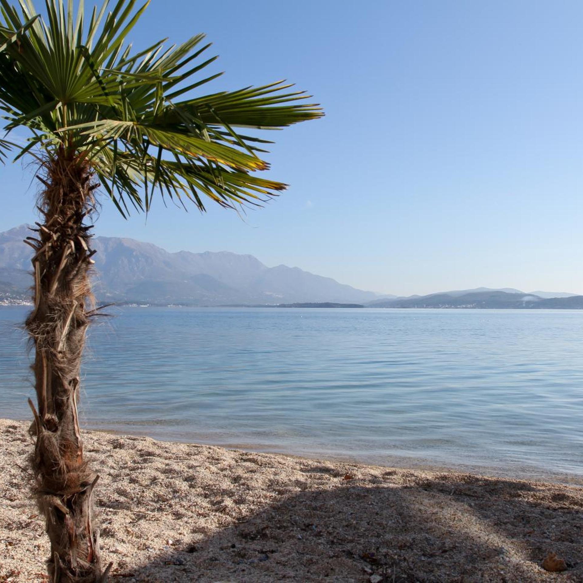 Azzurro Hotel Bijela, Herceg Novi 41/50