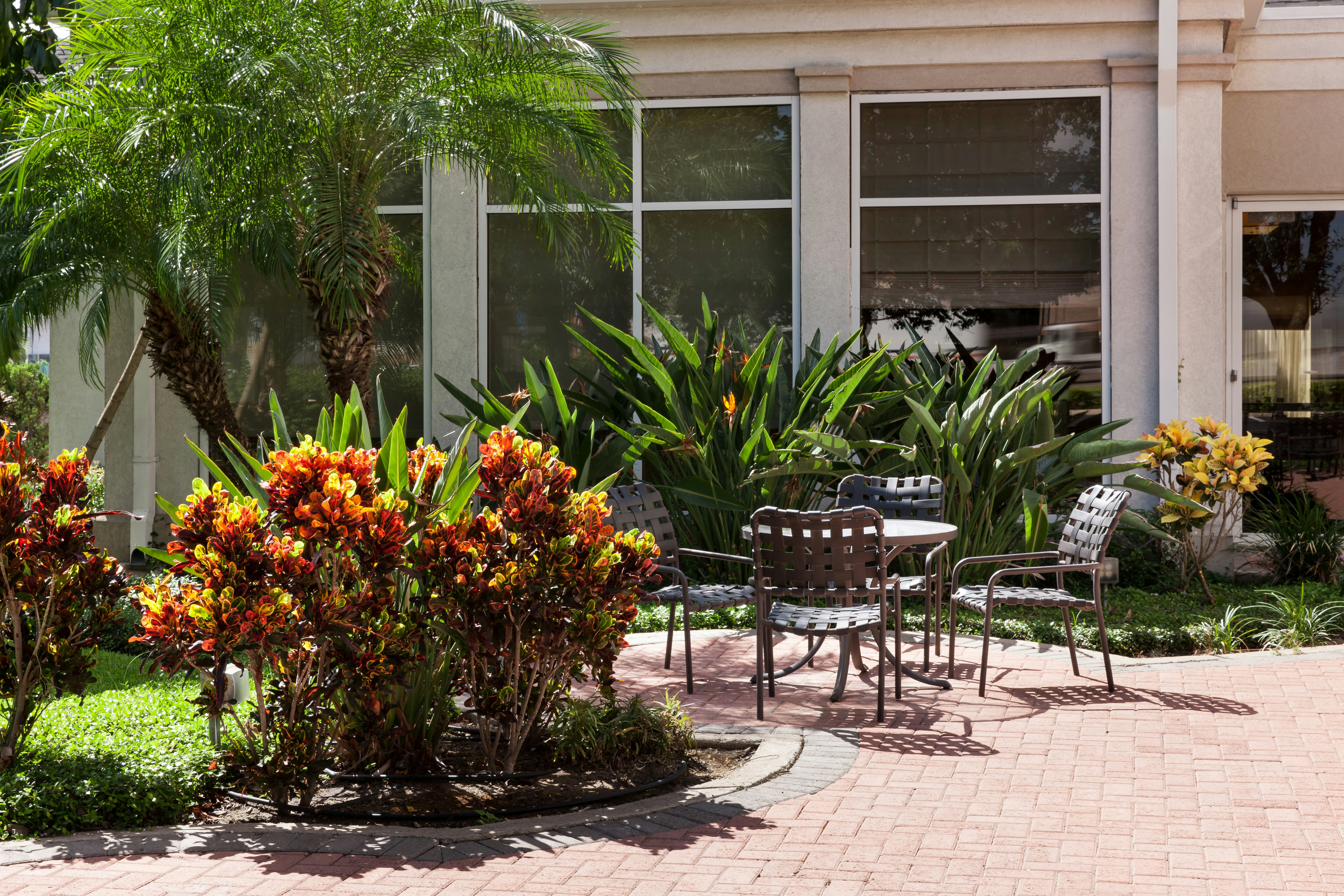 Hilton Garden Inn Mcallen Airport 53/56