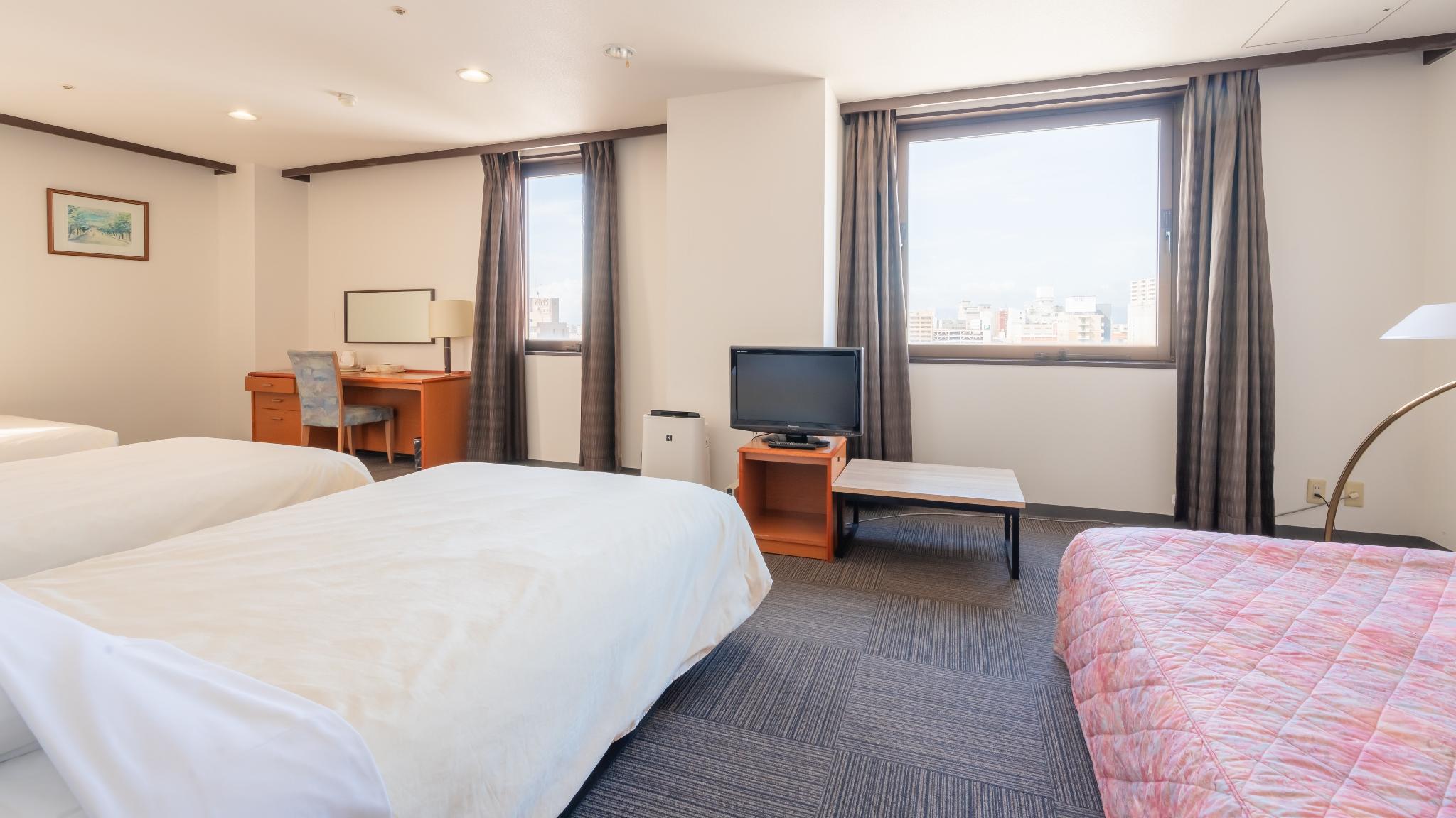 Deluxe, Semi Double Bed, Twin Beds, Smoking