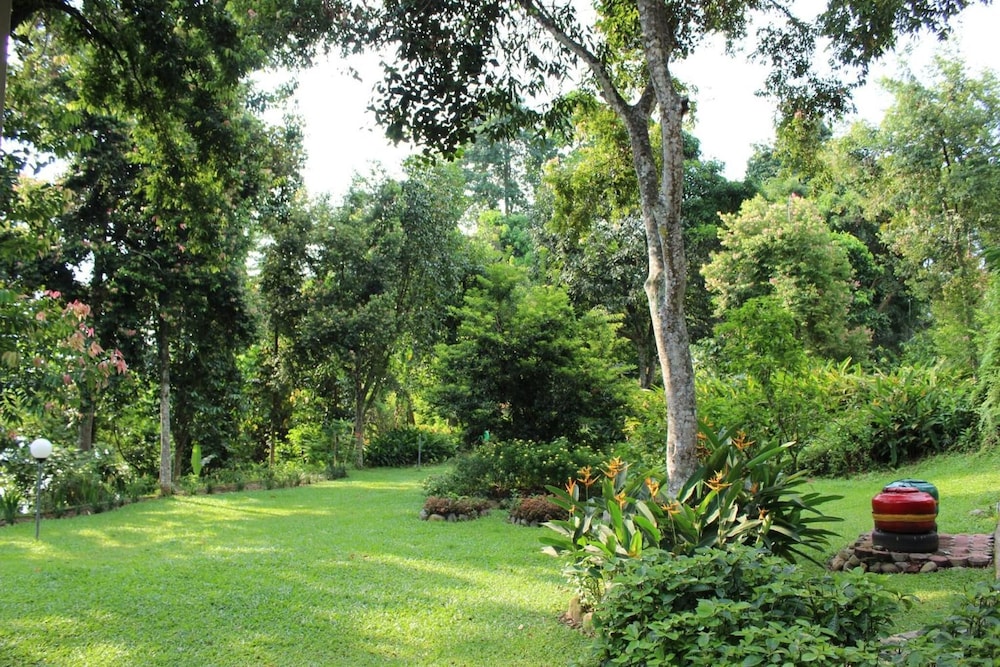 Ecolodge Bukit Lawang 48/58