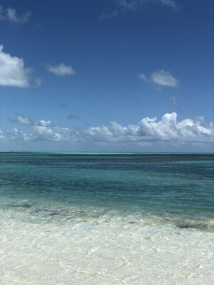 Shaka Caye 27/50
