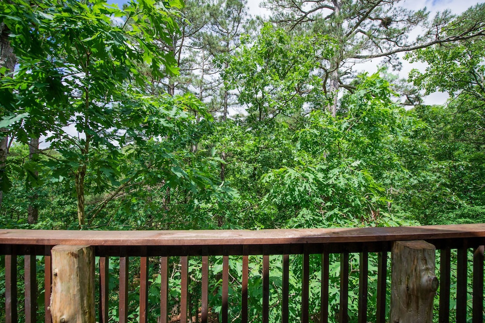 Eureka Springs Treehouses, Hobbit Caves &amp; Castles 38/52
