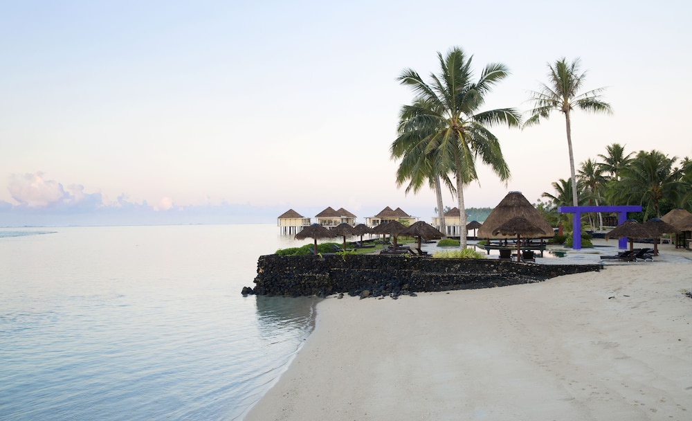 Coconuts Beach Club Resort and Spa 47/60