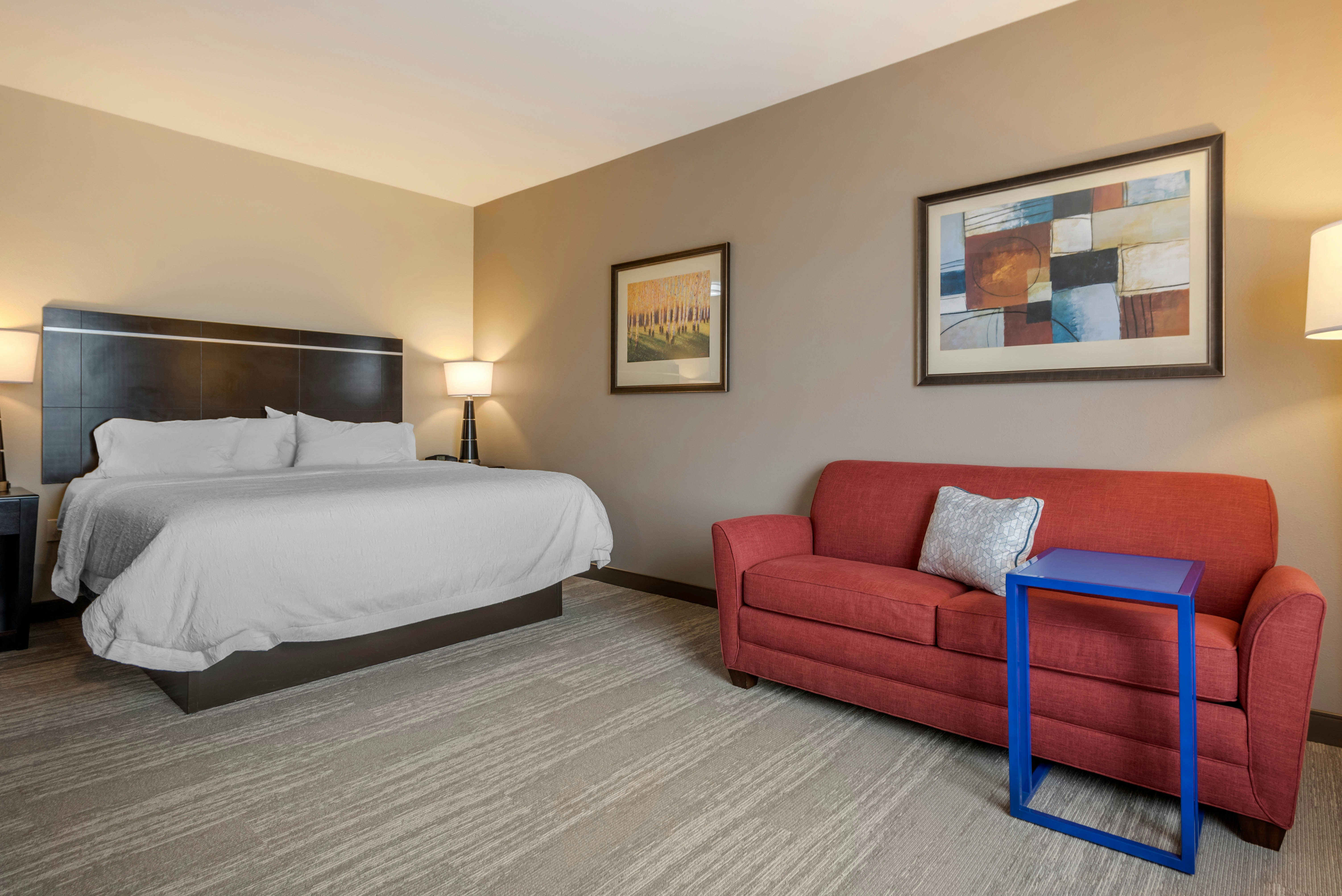 Room, King Bed