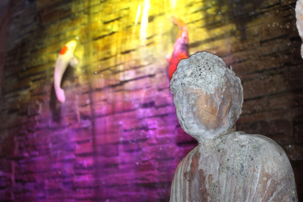 Sea Mountain Nude Resort and Spa Hotel 8/22