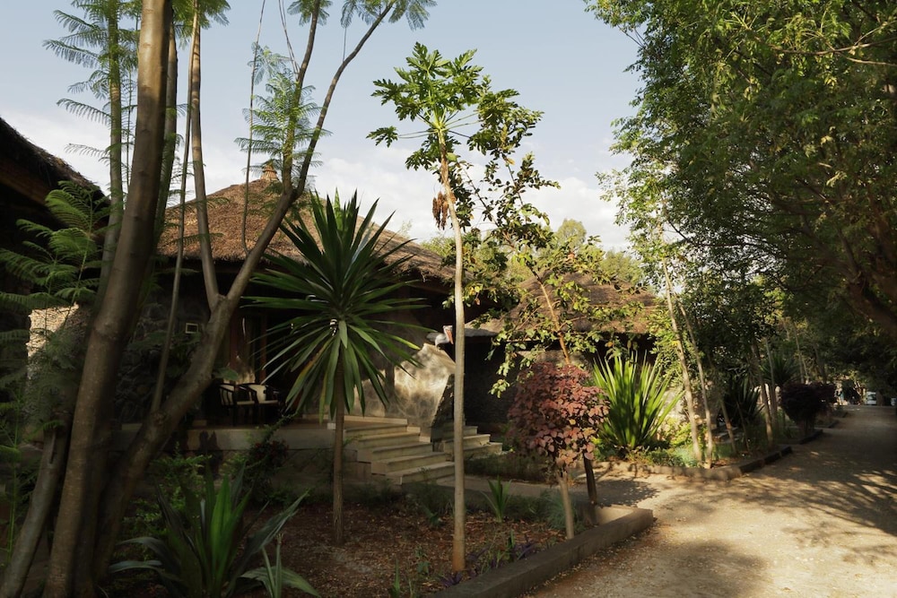 Abay Minch Lodge 41/50