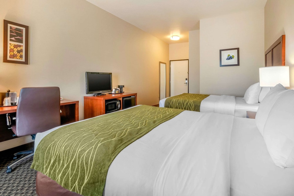 Comfort Inn & Suites Galt Lodi North 13/39