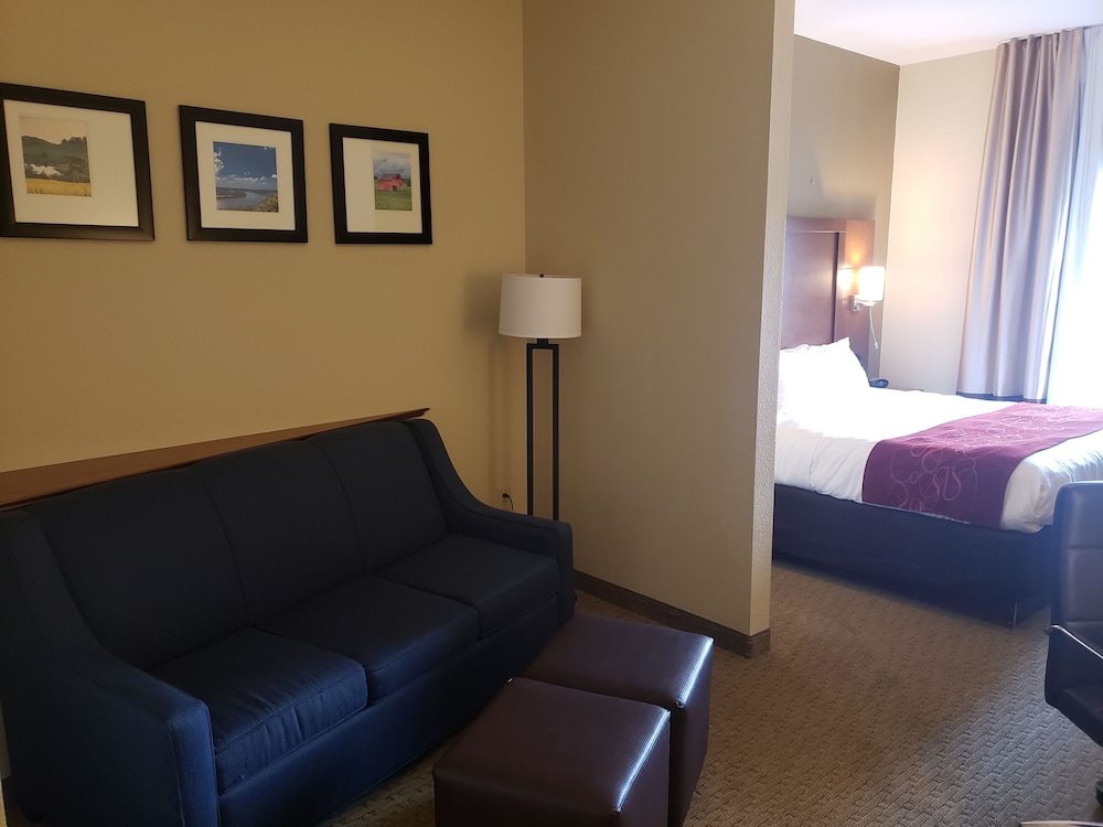 Comfort Suites South Point Huntington 18/43
