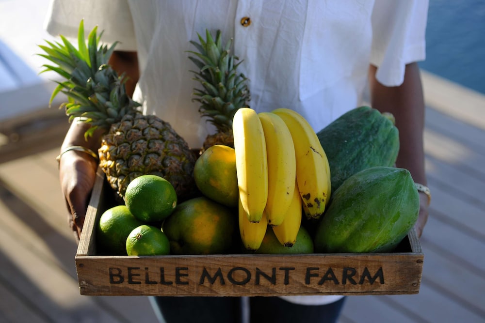 BELLE MONT FARM 18/50