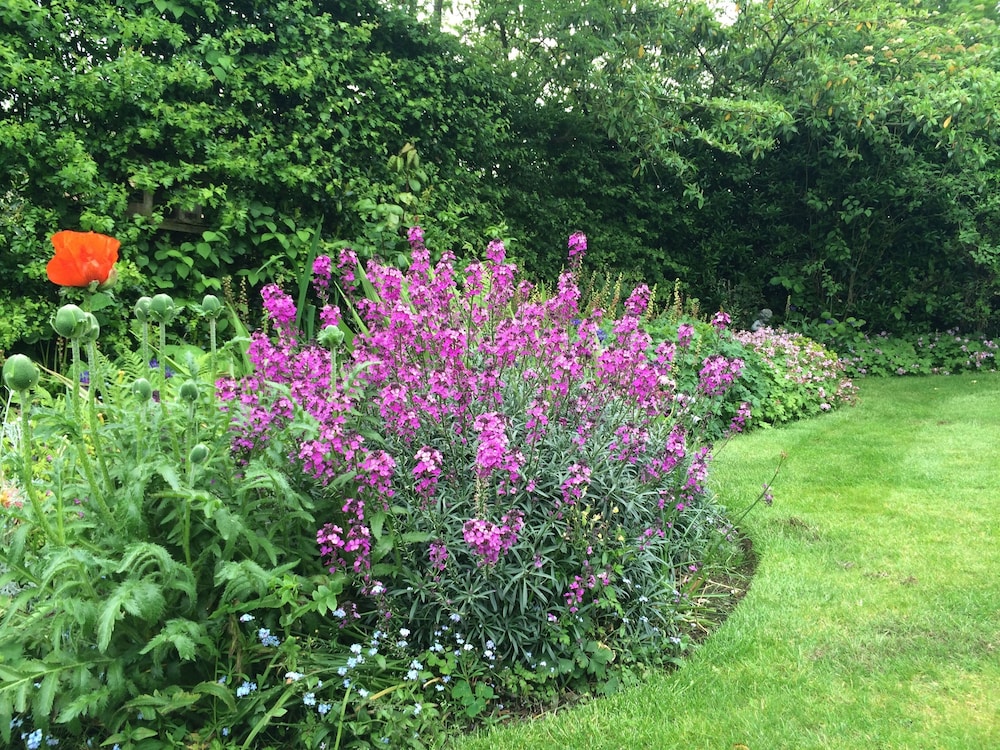 Pickmere Country Guest House 35/50