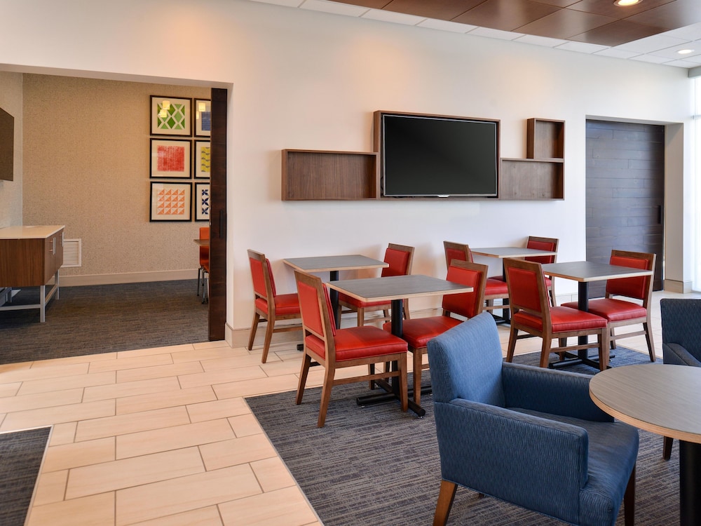 HOLIDAY INN EXPRESS & SUITES BRIGHTON SOUTH - US 23 43/51