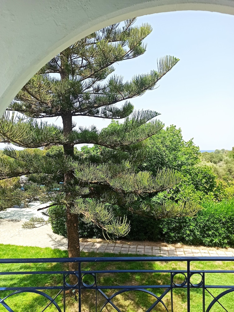 Summer Dream Hotel By Anayia All Inclusive Resorts 41/50