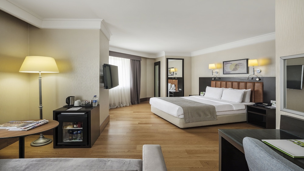Holiday Inn Istanbul Old City 28/79