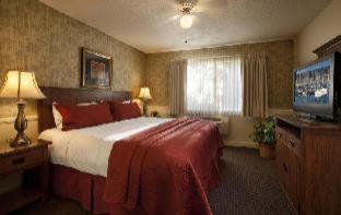 POOL, HARBOUR, SUITE
